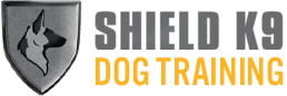 dog training