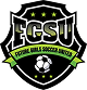 fgsu